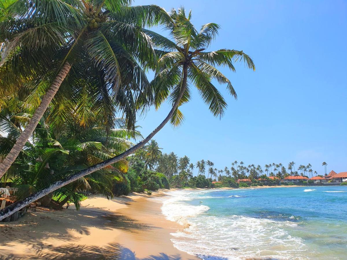 ディックウェラThe Beach Houseアパートメント エクステリア 写真