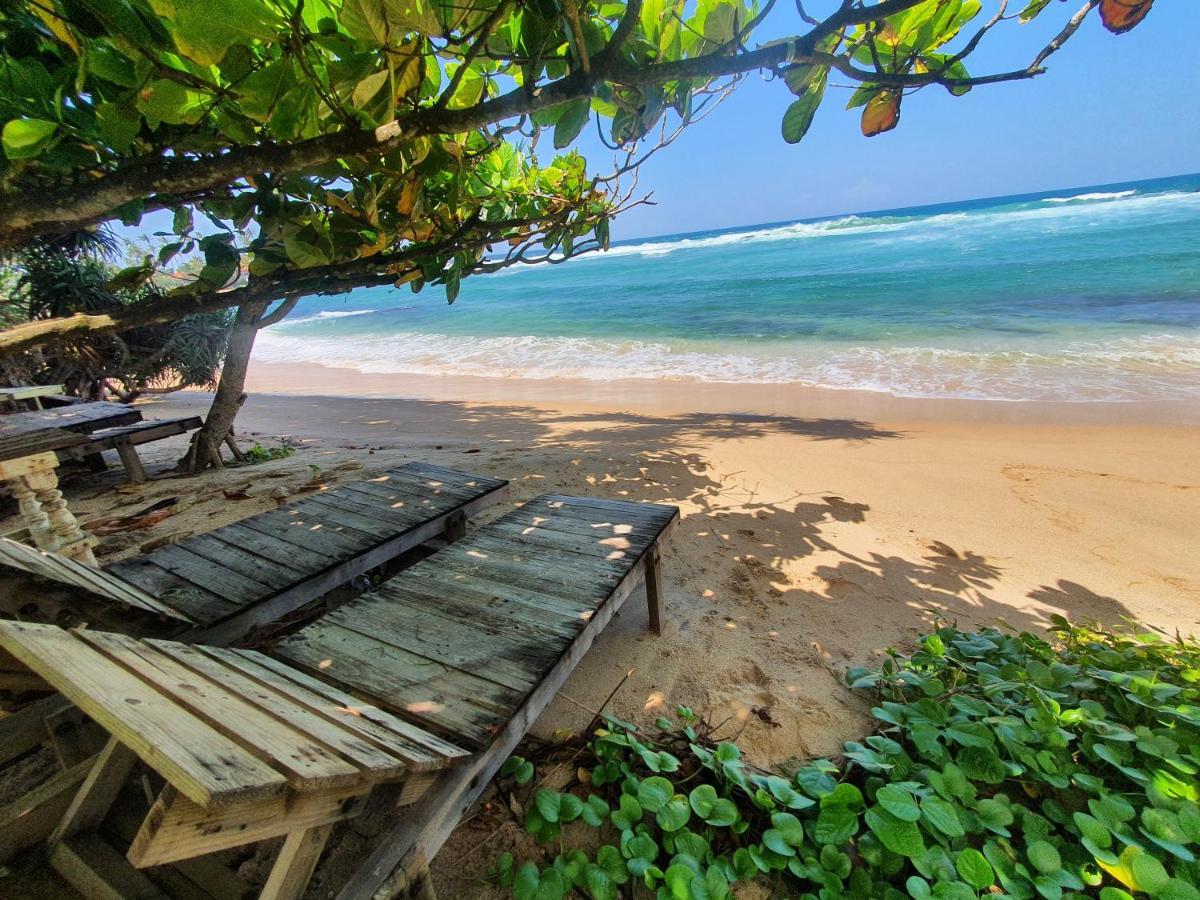 ディックウェラThe Beach Houseアパートメント エクステリア 写真